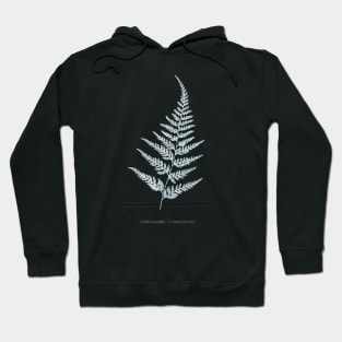 Fern - Gymnogramma L’herminieri or Herminieri. X-ray effect - 05 Hoodie